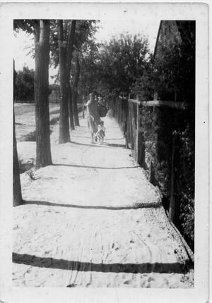 A Petőfi utca az 1960-as években
